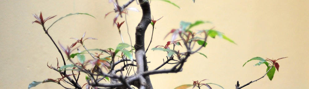 I just would need join live gay animal sex vedio in toronto